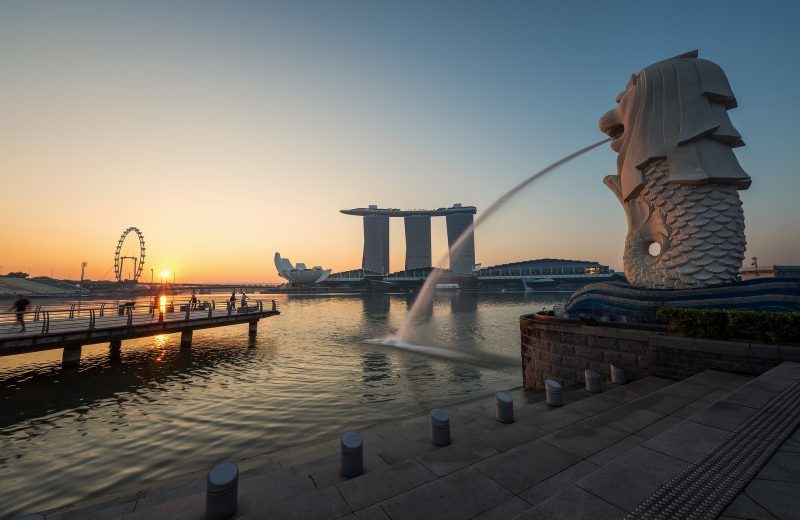 Singapore undergraduate studies guide and admission process - The Red Pen