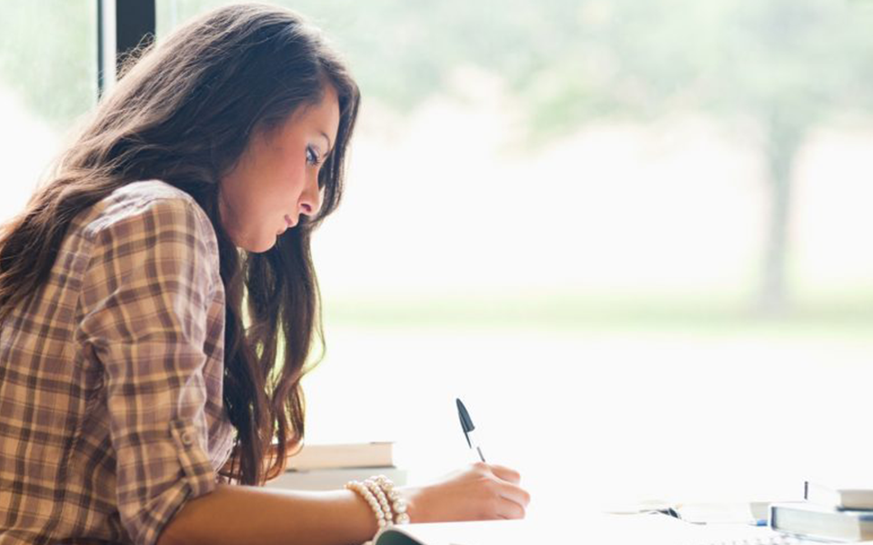 Computer error encountered during UCAS personal statement process, The Red Pen