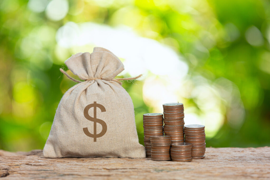 Exploring financial aid for college education with money bag and coins - The Red Pen