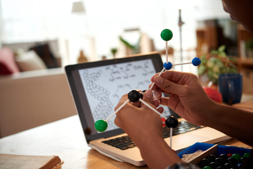 What Are My Career Options After a UG STEM Degree? | The Red Pen