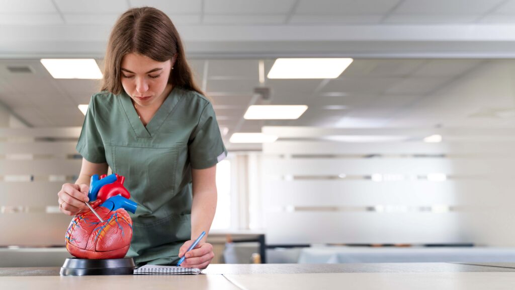 Student in medical scrubs learning cardiology with a heart replica, pursuing a medical degree in the UK, The Red Pen